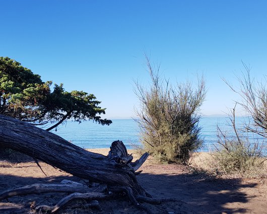 Spiaggia_Rimigliano