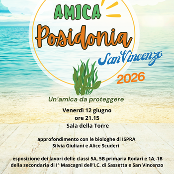 amica