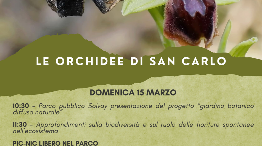 orchidee san carlo