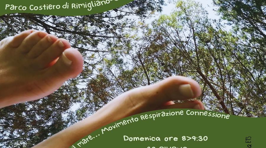 Passeggiate Sensoriali