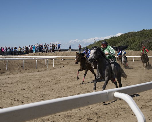 Palio