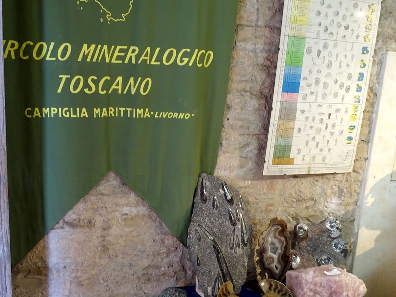 a. Circolo mineralogico Campiglia Marittima.JPG