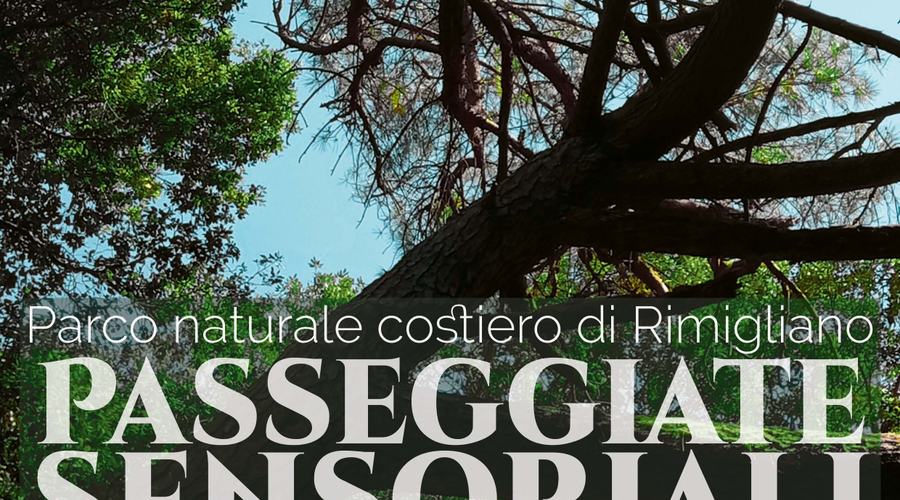 passeggiate sensoriali