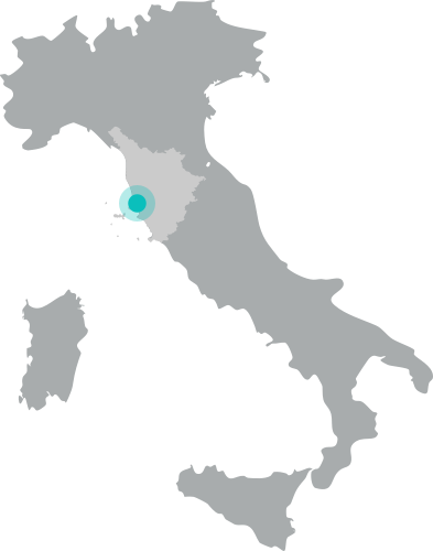 San Vincenzo è situato in Toscana